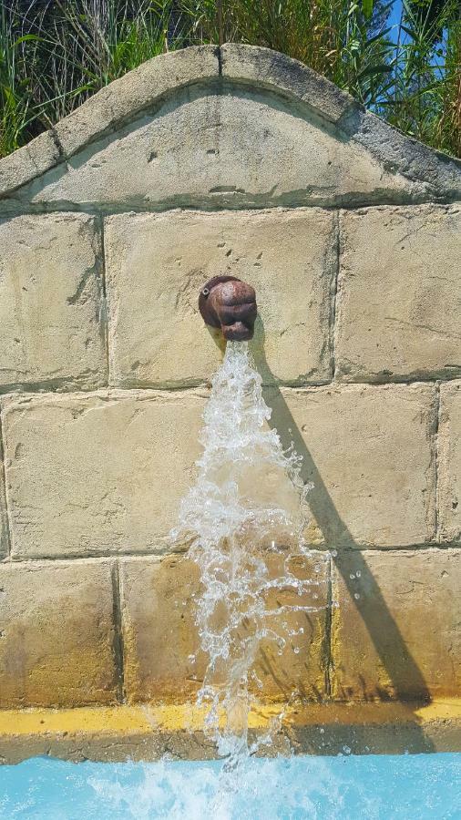 Le Jas Des Parpaillous LʼIsle-sur-la-Sorgue Exterior foto